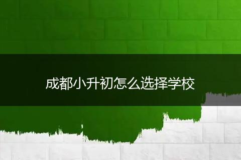 成都小升初怎么选择学校