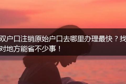 双户口注销原始户口去哪里办理最快？找对地方能省不少事！