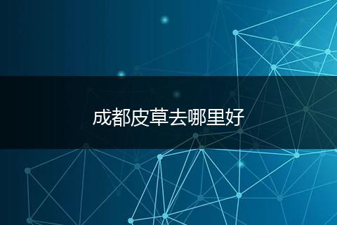 成都皮草去哪里好