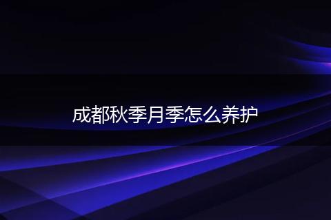 成都秋季月季怎么养护