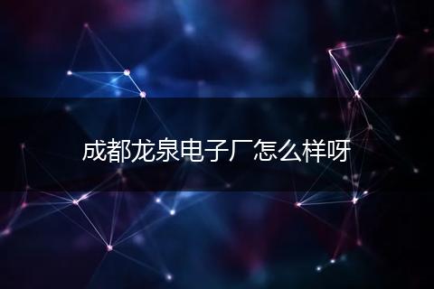 成都龙泉电子厂怎么样呀
