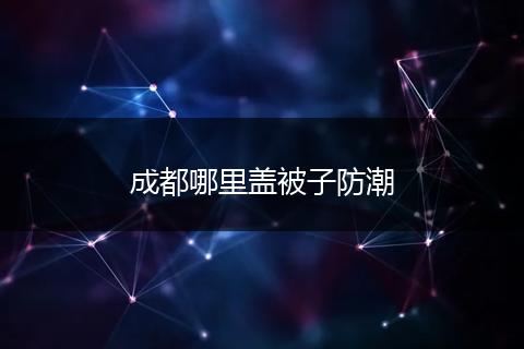 成都哪里盖被子防潮