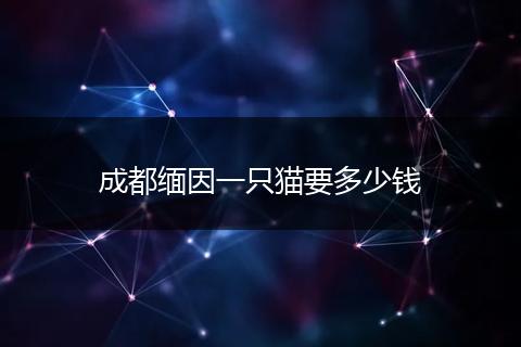 成都缅因一只猫要多少钱