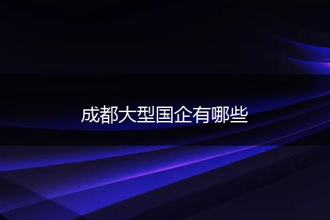 成都大型国企有哪些