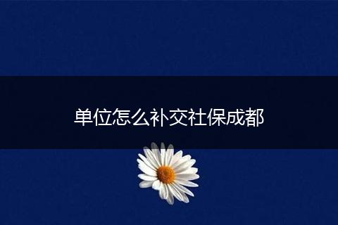 单位怎么补交社保成都