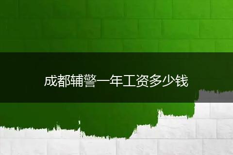 成都辅警一年工资多少钱