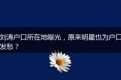 刘涛户口所在地曝光，原来明星也为户口发愁？