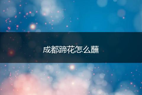 成都蹄花怎么蘸