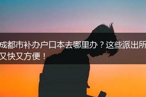 成都市补办户口本去哪里办?这些派出所又快又方便!