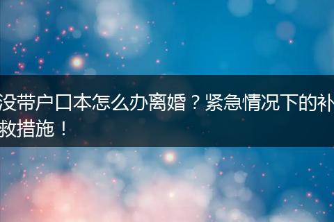 没带户口本怎么办离婚?紧急情况下的补救措施!
