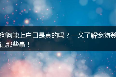 狗狗能上户口是真的吗？一文了解宠物登记那些事！