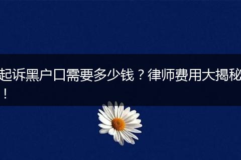 起诉黑户口需要多少钱？律师费用大揭秘！