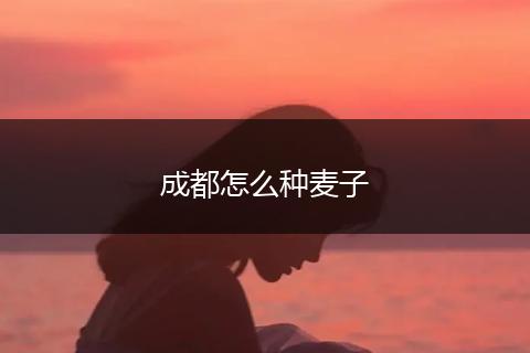 成都怎么种麦子