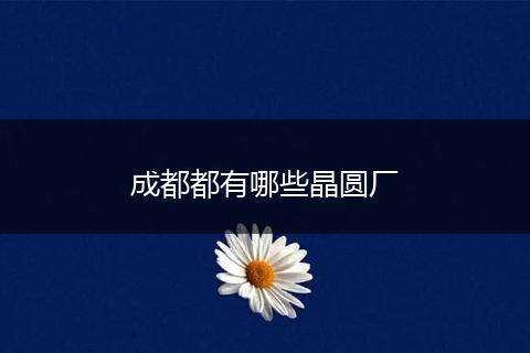 成都都有哪些晶圆厂