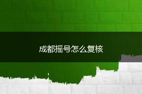 成都摇号怎么复核