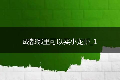成都哪里可以买小龙虾_1