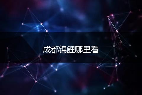 成都锦鲤哪里看