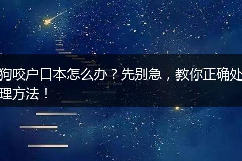 狗咬户口本怎么办？先别急，教你正确处理方法！