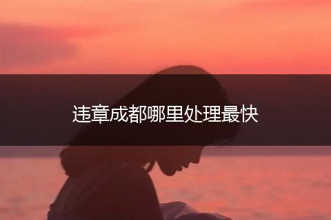 违章成都哪里处理最快
