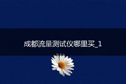成都流量测试仪哪里买_1
