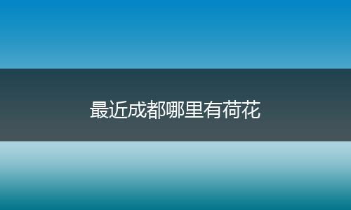 最近成都哪里有荷花