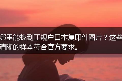 哪里能找到正规户口本复印件图片？这些清晰的样本符合官方要求。