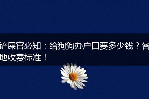 铲屎官必知：给狗狗办户口要多少钱？各地收费标准！