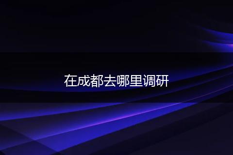 在成都去哪里调研