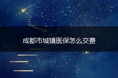成都市城镇医保怎么交费