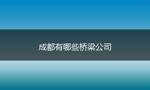 成都有哪些桥梁公司