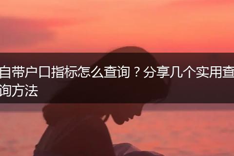 自带户口指标怎么查询？分享几个实用查询方法