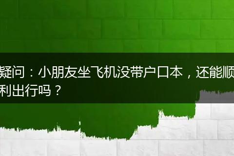 疑问：小朋友坐飞机没带户口本，还能顺利出行吗？