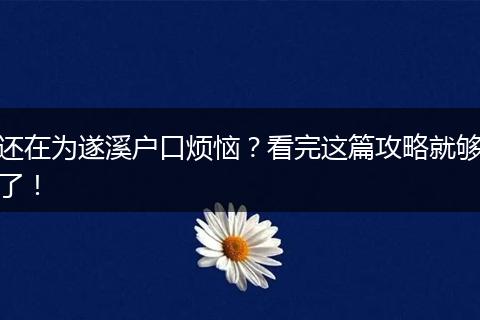 还在为遂溪户口烦恼？看完这篇攻略就够了！