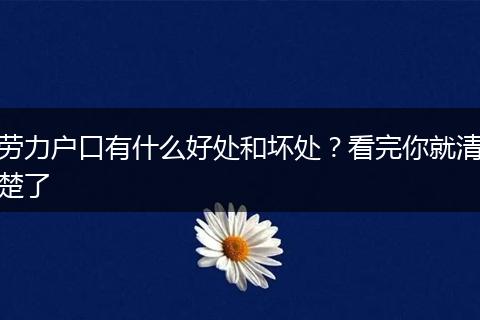 劳力户口有什么好处和坏处？看完你就清楚了