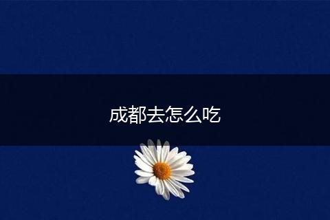 成都去怎么吃
