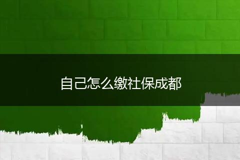 自己怎么缴社保成都