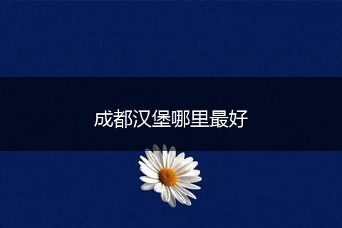 成都汉堡哪里最好