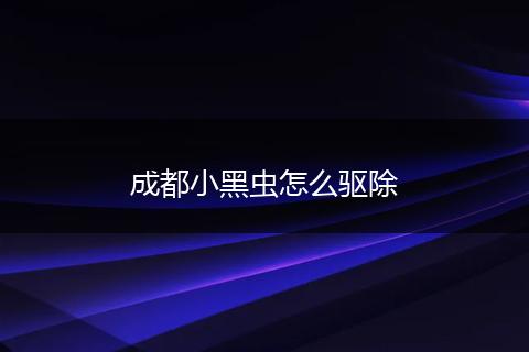 成都小黑虫怎么驱除