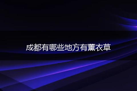 成都有哪些地方有薰衣草