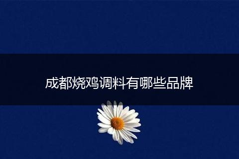 成都烧鸡调料有哪些品牌