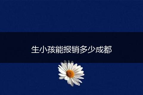 生小孩能报销多少成都