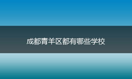 成都青羊区都有哪些学校