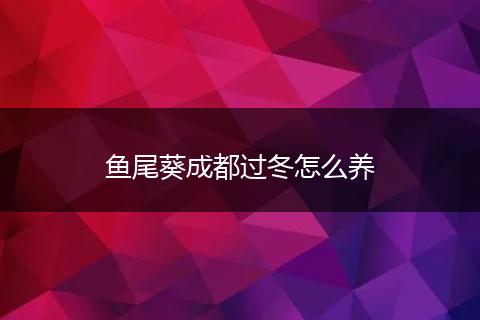 鱼尾葵成都过冬怎么养