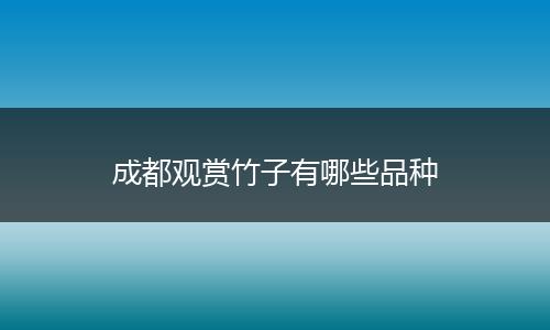 成都观赏竹子有哪些品种