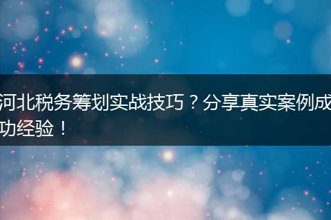 河北税务筹划实战技巧？分享真实案例成功经验！