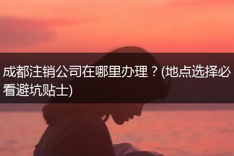 成都注销公司在哪里办理？(地点选择必看避坑贴士)