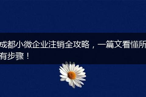 成都小微企业注销全攻略,一篇文看懂所有步骤!