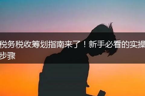 税务税收筹划指南来了！新手必看的实操步骤