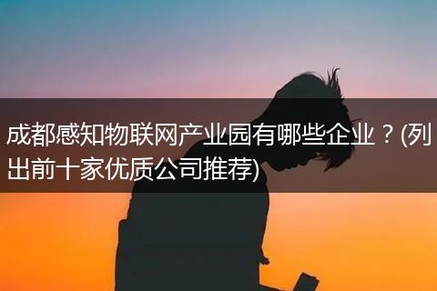 成都感知物联网产业园有哪些企业？(列出前十家优质公司推荐)