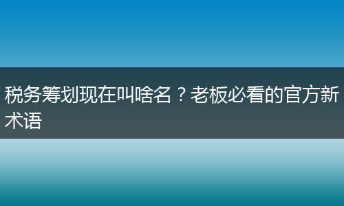 税务筹划现在叫啥名?老板必看的官方新术语